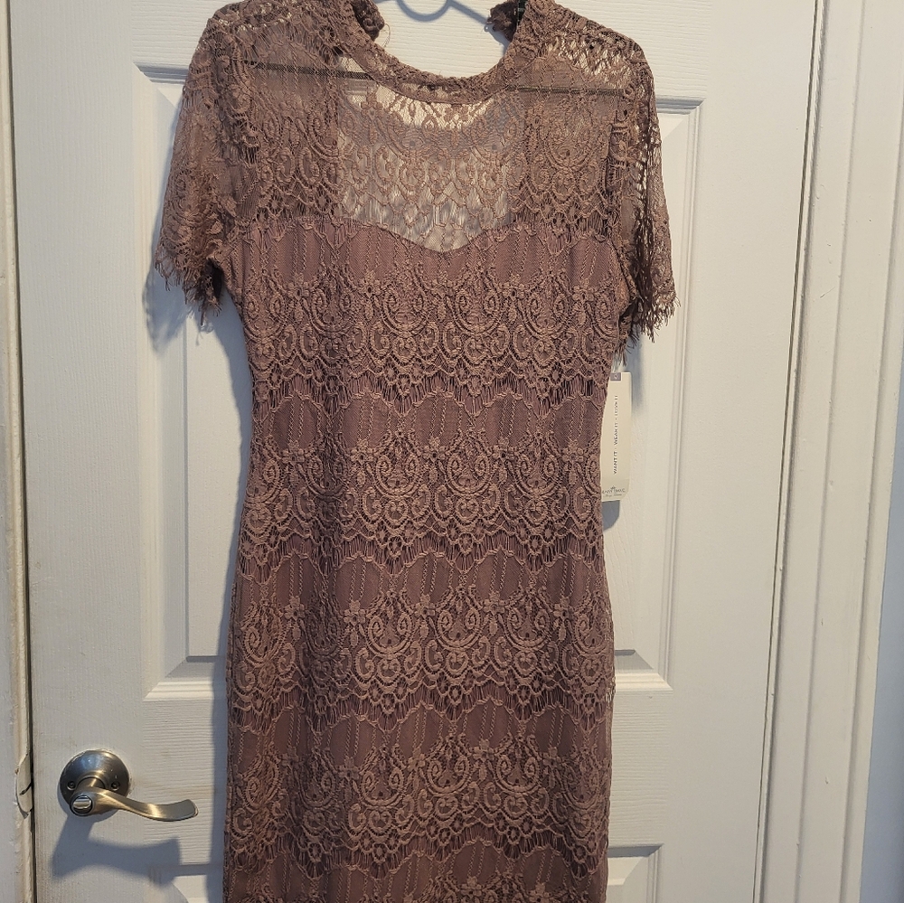 Elegant Lace Dress in Champagne Color NWT Size Large